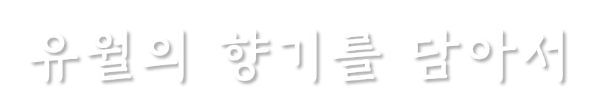 메인텍스트