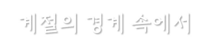 메인텍스트